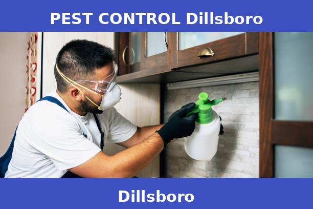 PEST CONTROL Dillsboro